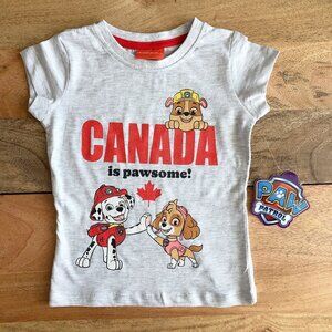 🧸 SALE! (5/$15, 8/$22, 12/$30) Paw Patrol t-shirt 2-3 years NWT
